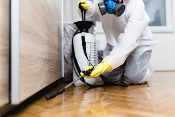 Best Affordable Pest Control Services  in Cushing, OK