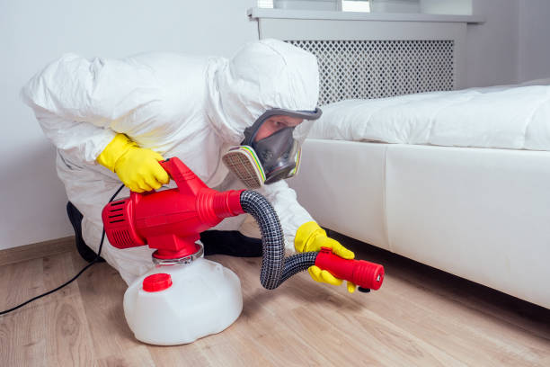 Best Mosquito Control Services  in Cushing, OK