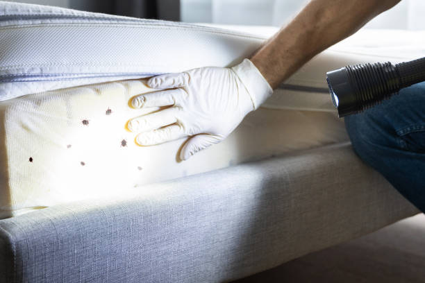 Best Affordable Exterminators  in Cushing, OK